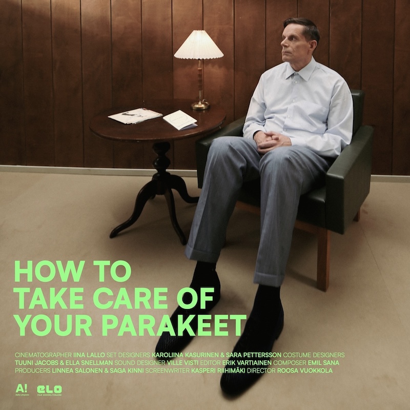 How To Take Care of Your Parakeet Poster